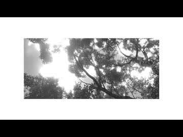 手術室 - 小夜/SAYO (VOICEVOX)