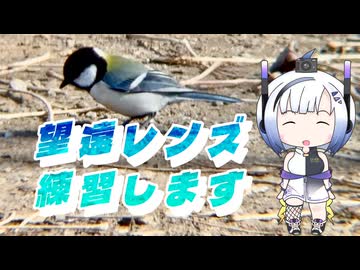 【ソフトウェアトーク劇場】望遠レンズ練習します【No.7】
