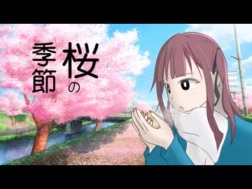 桜の季節 / 夏色花梨