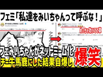 【悲報】ツイフェミ集団、「みいちゃん」扱いされ発狂してしまうwww