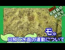 「モ。日照と水面の運動について」逆張り水耕栽培研究室rep.16