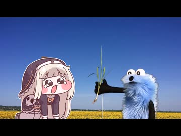 ｽﾋﾟｷとスンスン