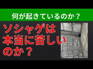 【テーマ：ソシャゲメーカーの人材要件の検証2026】第303回まてりあるならじお