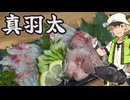 真羽太を食べる虎太郎