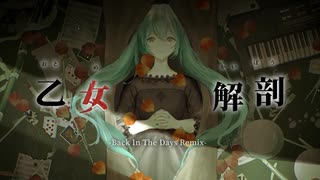 乙女解剖(Back In The Days Remix) のサムネイル