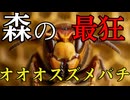 【最強の昆虫】オオスズメバチはなぜここまで危険なのか？毒と戦術の全貌を解説