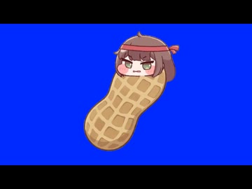 ピーナッツキュウイ BB素材