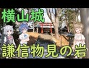 【すずきつづみ誕生祭2026】横山城/上杉謙信物見の岩【Cevio旅行】