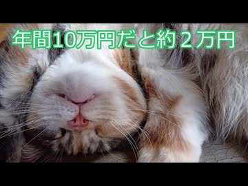 【特定口座でも還付ある】#8 とろい私の株生活│日記