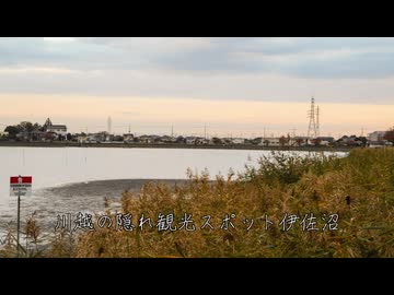 佐竹健『川越の隠れ観光スポット伊佐沼』（2023 エッセイ）【朗読：春日部つむぎ】