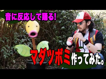 【実寸大ポケモン】踊る！マダツボミ作ってみた