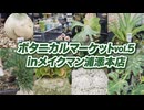 ボタニカルマーケットvol.5 inメイクマン浦添本店