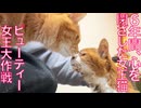 ６年心を閉ざした女王猫、ビューティー大作戦
