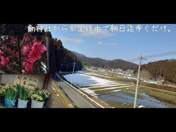 劒神社から糸生経由で朝日迄歩くだけ。