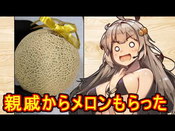 え、余ったメロンでスイーツを！？【メロンムース】