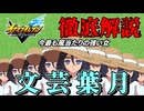 【イナイレV】いつまでも不遇なキャラ、「文芸葉月」について解説 または私は如何にして心配するのを止めて文芸を愛するようになったか【解説】
