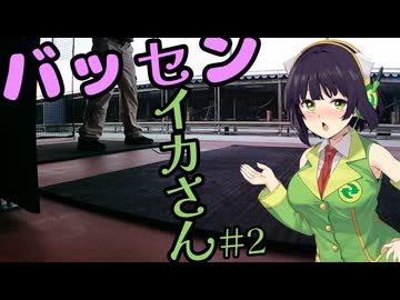 バッセンセイカさん#2