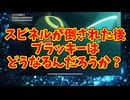 スピネルが倒された後ブラッキーはどうなるんだろうか？
