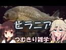 【生物解説】つむきり雑学「ピラニア」【VOICEVOX】