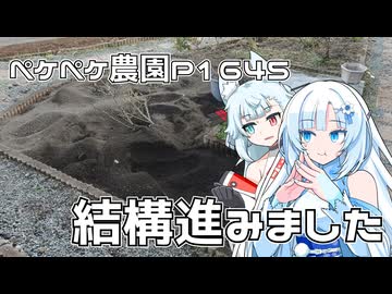 2026年2月23日　農作業日誌P1645　花壇の石拾いをひたすらに頑張り終わりを目指す