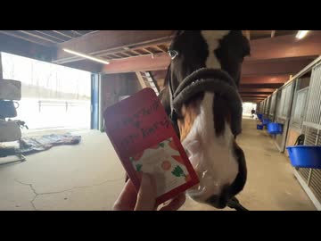 フェリオくん！誕生日