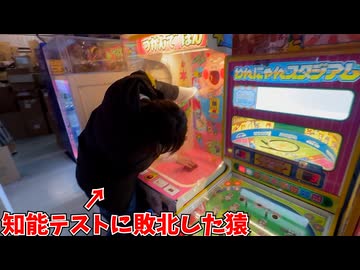 あまりにも滑稽すぎるおじさんの末路