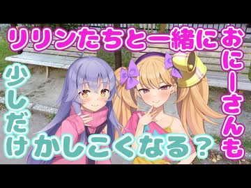 メスガキにささやかれながら少し賢くなる動画