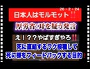 26・2・24   今後とも　ワク接種し続けて　子供がどの様に死んで逝くか　情報を収集し続ける。厚生労働省　殺人宣言をしてしまった。悪魔官僚‼️