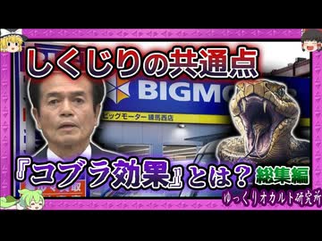 やらかし過ぎた企業たちの教訓 【 ゆっくり解説 しくじり 総集編 】