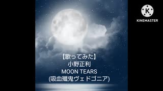 人気の「吸血殲鬼ヴェドゴニア 小野正利」動画 18本 - ニコニコ動画