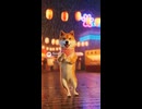 ■ＡＩ利用■『雨踊る柴犬雨』■