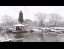 【VRChatワールド紹介】Snowy Japanese Garden