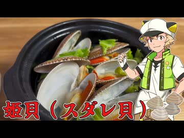 姫貝（スダレ貝）を食べる虎太郎