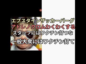 エプスタイン子供痛めつけは嫌だけどアドレノクロム摂取は楽しいと投稿したメタ社ザッカーバーグ　自分のスタッフにはワクチン打つなと警告し一般人ゴイムにはワクチン接種しろと推進