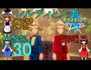 ポケットモンスターソードpart30【ゆっくり実況】シルディとソッド