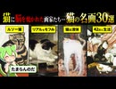 人類は猫の下僕なのだ。古今東西「猫の名画」TOP30！天才絵師たちを狂わせた究極のモフモフ【ずんだもん】