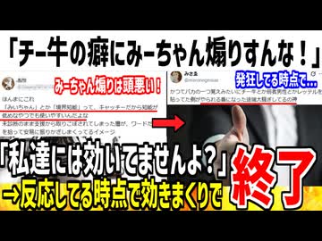 フェミ「チー牛にみーちゃん煽りされても効きませんw」→x民「じゃあ何で反応したの？」