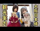 リリの「大阪日本橋観光案内」【ラブドールとの日常】【ゆっくり解説・VOICEVOX解説】