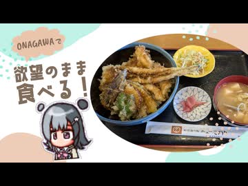 【小春六花車載】アナゴ天丼を食べながらボッチなツーリング日記【牡鹿郡女川町】
