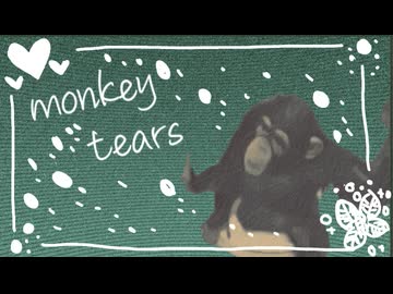 monkey tears