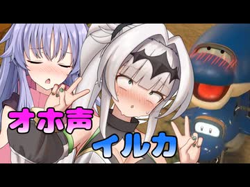 マリオ゛ッ゛…ホォ゛…カートワールドになんて屈しない#29【マリオカートワールド】