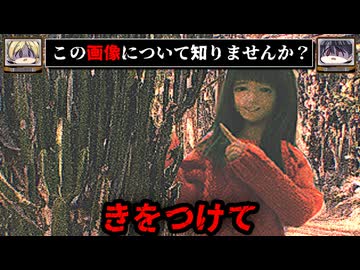 【邪悪な目的】あの画像の初出が判明しました。某フリマサイトの謎の出品について。【ゆっくり解説/ゆっくり実況/怖い話】