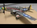 Me262 1/48 TAMIYA & P-51D 1/48 OHTAKI