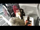 ポッカレモン容器の勝ち