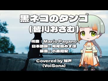 【知声誕生祭2026】黒ネコのタンゴ／皆川おさむ【VoiSonaカバー曲】
