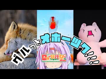 【日帰り旅行祭N 2026】ゆかりとオホーツク旅『グルっとオホーツク!!!知床～北見』【VOICEROID旅行】