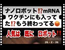 26・2・26　「ワク打った人は　人間では　無い、芸津の所有物である」と言っていたのは　そういう事か。接種者は　ナノロボットに支配されているから　人間では無い　という事なのね。