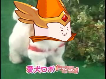 愛犬ロボ　「イサムレヨン」