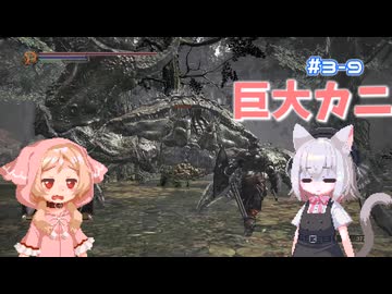 【Darksouls3】一度使った物は次作以降使用禁止 Part3-9