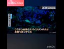 コロナワクチン接種後2年以上続く発疹の原因はスパイクタンパク！佐野医師が組織検査で発見、1300万円賠償訴訟の衝撃